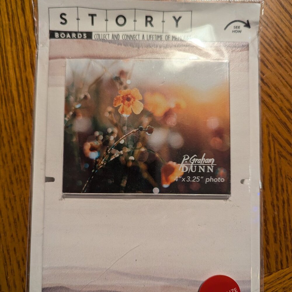 P. Graham Dunn Story Board connecting frame